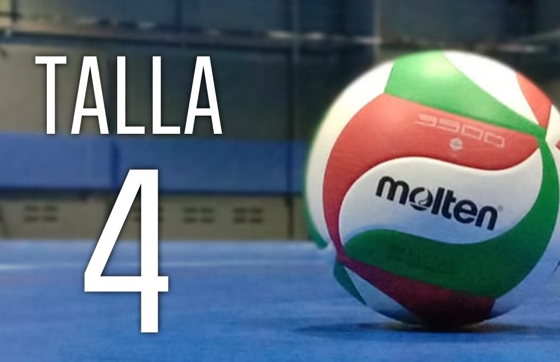 pelota voleibol